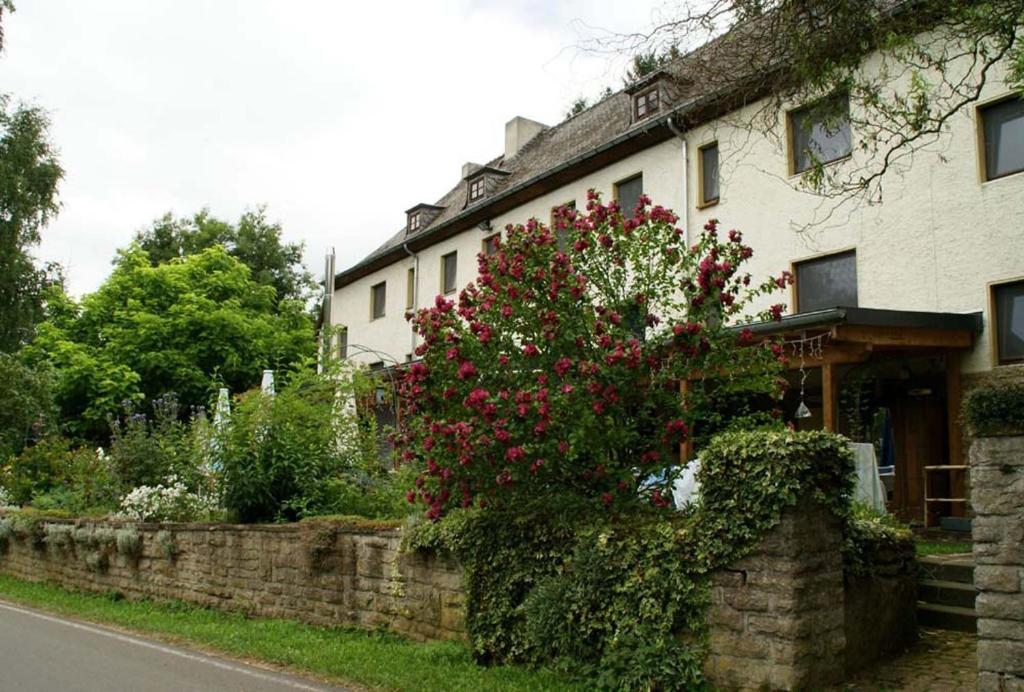 Altes Zollhaus Naehe Luxemburg Hotel Ammeldingen an der Our Exterior foto